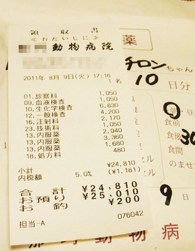 2011_0809_receipt_s.jpg