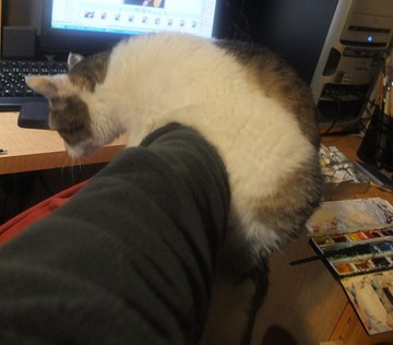 2013_0120_204238_s2.jpg