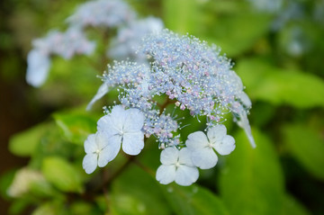 2013_0620_130100_s.jpg