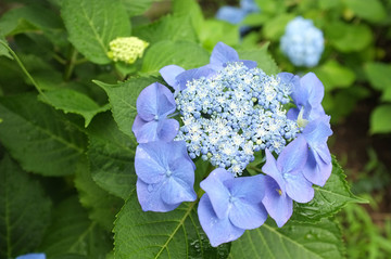 2013_0620_142445_s.jpg