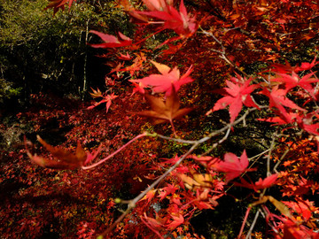2013_1113_115608_s.jpg