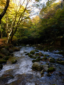 2013_1113_121034_s.jpg