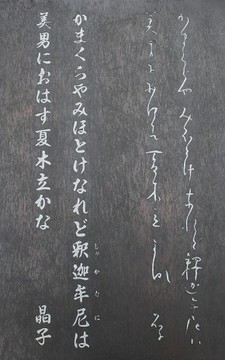 2016-03-30_11-55-00_s.jpg