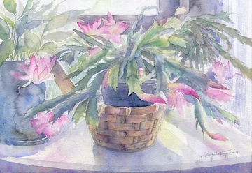 Cactus_of_the_window_scan_s.jpg