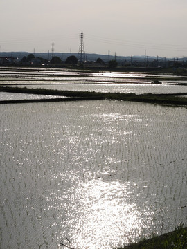 DSCF0262_s.jpg
