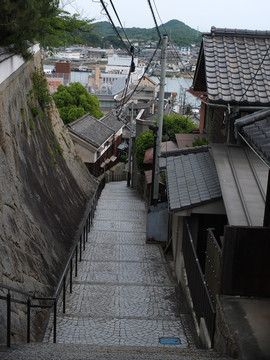 DSCF0575_s.jpg