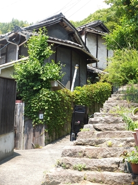 DSCF0748s.jpg