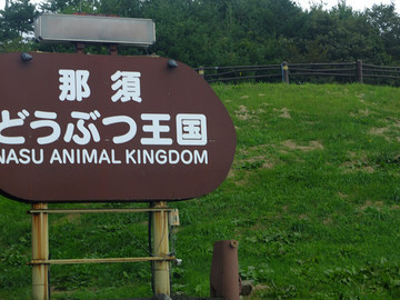 DSCF1904_s.jpg
