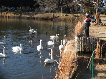DSCF2988_s.jpg