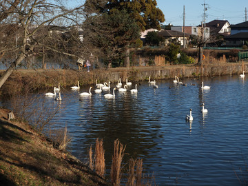 DSCF3017_s.jpg