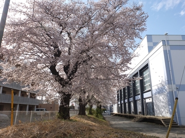 DSCF7557.jpg