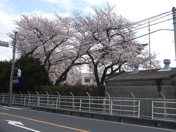DSCF7573_s.jpg
