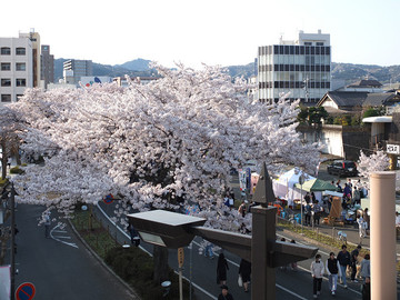 DSCF7644_s.jpg