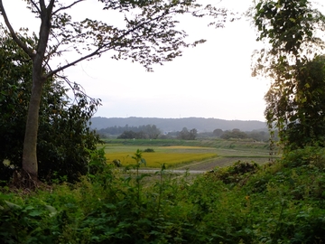 satoyama_bright.jpg