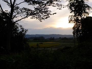 satoyama_dark.jpg