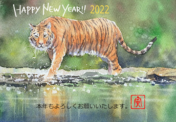 tiger2022fb.jpg